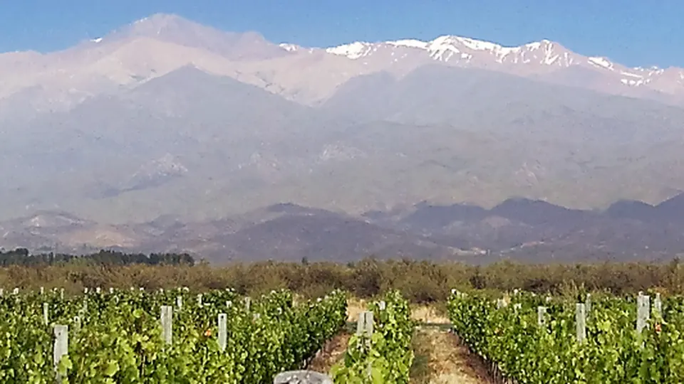 Mendoza travel guide